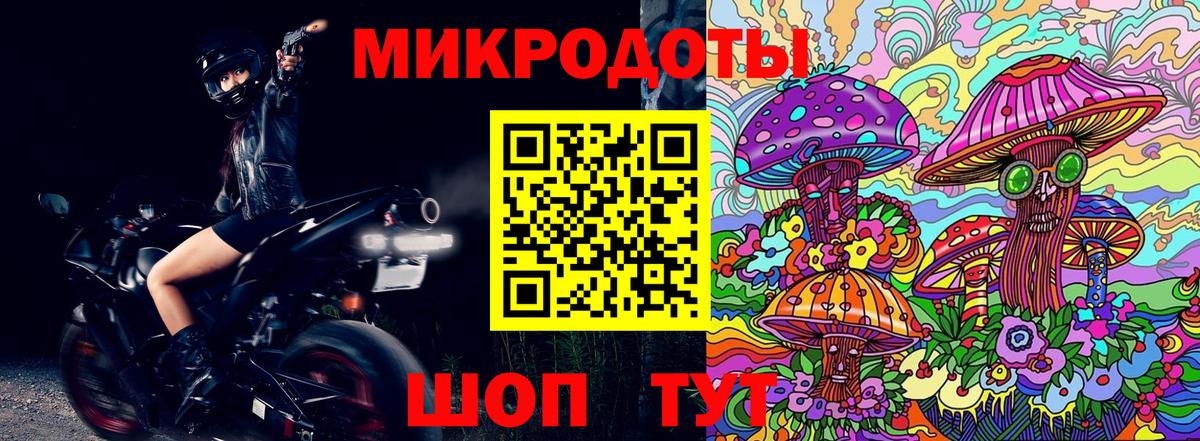 Псилоцибиновые грибы мицелий Старая Купавна