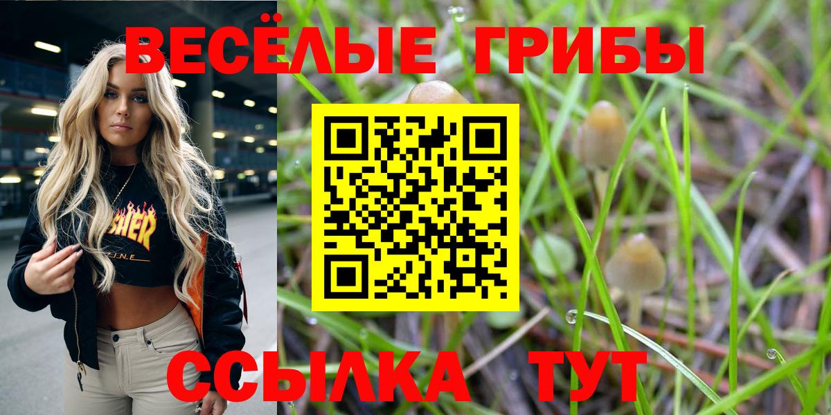 Старая Купавна  Псилоцибиновые грибы мухоморы  купить наркоту  Вход с VPN 